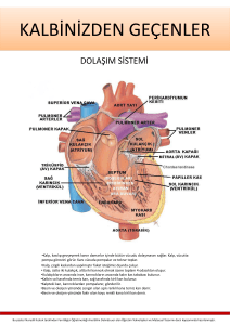 KALBİNİZDEN GEÇENLER