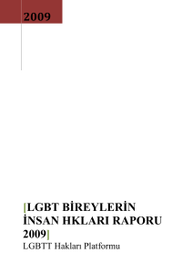 LGBT Bireylerin insan hkları raporu 2009