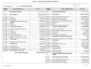 1.1 bütçe uygulama sonuçları tablosu