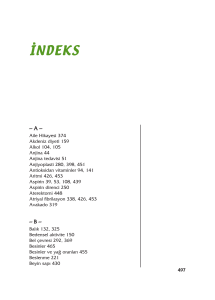 indeks - Rasim Enar