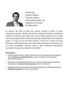 Mehmet Yigit Assistant Professor University at Albany State