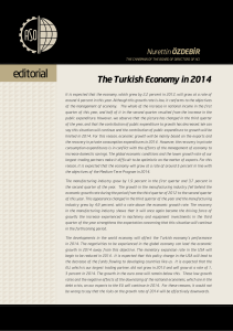 The Turkish Economy in 2014