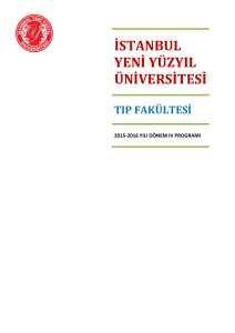 istanbul yeni yüzyıl üniversitesi