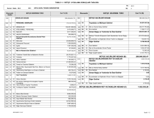 bütçe uygulama sonuçları tablosu
