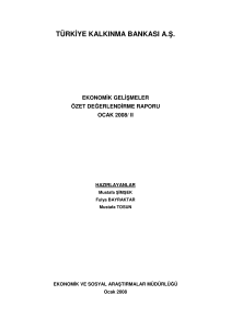 Ekonomik Gelişmeler Özet Değerlendirme Raporu, Ocak 2008-II