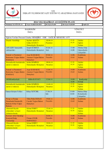 2014 yılı haziran ayı eğitim planı