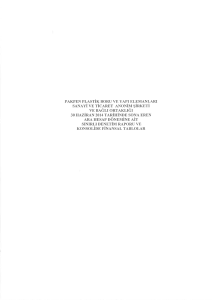 Pakpen Bağımsız Denetim Raporu 30.06.2014