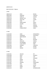 LABORATUAR II DENEY GRUPLARI II. Öğretim 1.GRUP