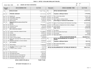 Bütçe Uygulama Sonuçları Tablosu