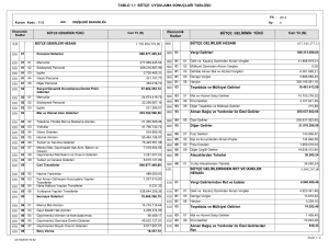 1.1 Bütçe Uygulama Sonuçları Tablosu