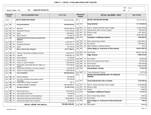 1.1 Bütçe Uygulama Sonuçları Tablosu