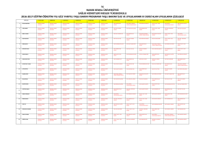 tc namık kemal üniversitesi sağlık hizmetleri meslek