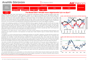 Analitik Görünüm