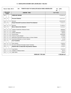 Tablo 1.4. Giderlerin Ekonomik Sınıflandırılması Tablosu