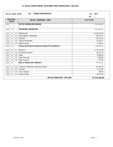 1.9 BÜTÇE GİDERLERİNİN EKONOMİK