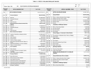 TABLO 1.1 BÜTÇE UYGULAMA SONUÇLARI TABLOSU 218.801