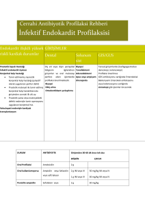 İnfektif Endokardit Profilaksisi