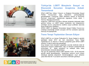 Türkiye`de LGBTİ Bireylerin Sosyal ve Ekonomik Sorunları