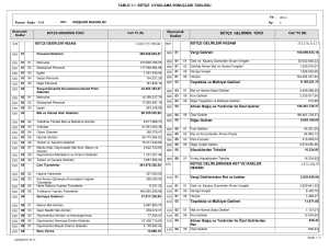 1.1 Bütçe Uygulama Sonuçları Tablosu