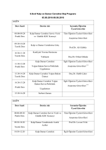 5.Sınıf Kalp ve Damar Cerrahisi Staj Programı 05.09.2016