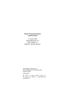 Finans Finansal Kiralama Anonim Şirketi 31 Aralık 2006 Hesap