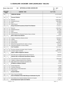 1.4 giderlerin ekonomik sınıflandırılması tablosu