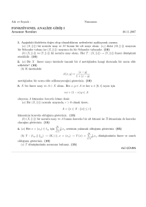 /=SM> 7GN:=S- 6LE:I:JS- FONKScIYONEL ANALcIZE GcIRcIMS I