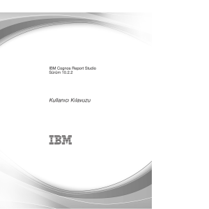 IBM Cognos Report Studio Sürüm 10.2.2: Kullan