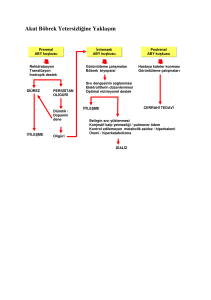 Akut Böbrek Yetersizliğine Yaklaşım