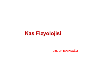 Kas Fizyolojisi - Doç.Dr.Taner Dağcı