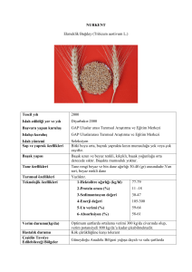NURKENT Ekmeklik Buğday (Triticum aestivum L.) Tescil yılı Islah
