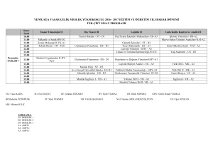 2017 eğitim ve öğretim yılı bahar dönemi tek