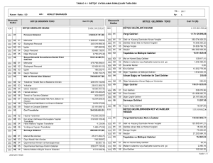 TABLO 1.1 BÜTÇE UYGULAMA SONUÇLARI TABLOSU 1.353