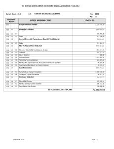 1.9 BÜTÇE GİDERLERİNİN EKONOMİK SINIFLANDIRILMASI