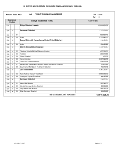 Tablo 1.9 Bütçe Giderlerinin Ekonomik Sınıflandırılması