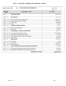 TABLO 1.2 GELİRLERİN EKONOMİK