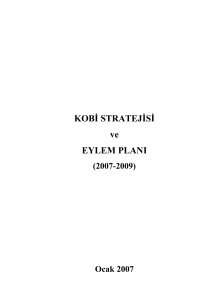 KOBİ STRATEJİSİ ve EYLEM PLANI