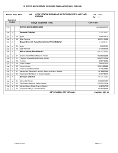 1.9 BÜTÇE GİDERLERİNİN EKONOMİK SINIFLANDIRILMASI