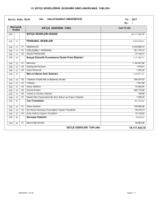 1.9 BÜTÇE GİDERLERİNİN EKONOMİK SINIFLANDIRILMASI