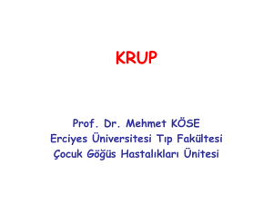 Vokal Kordlar (Mehmet Köse)