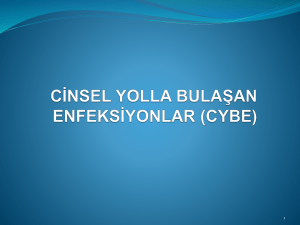 cinsel yolla bulaşan enfeksiyonlar (cybe)