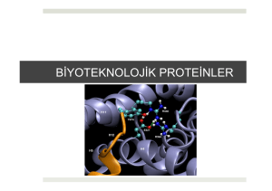 3. Biyoteknolojik Proteinler.pptx
