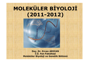 moleküler biyoloji 1 - Gene-Cell