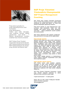 SAP Proje Yönetimi Yönlendirici Danışmanlık