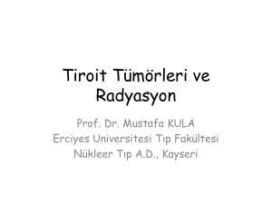 Prof.Dr. Mustafa KULA