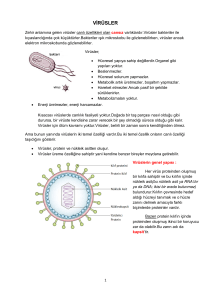 virüsler - Biyoloji Kutusu