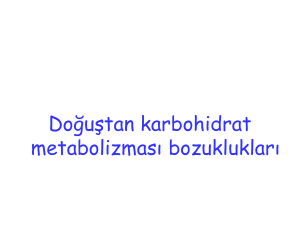 Metabolizma III345 KB