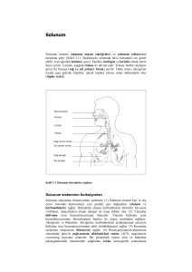 Solunum sistemi - Dr. Onur Elmas