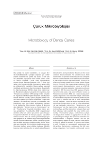 Çürük Mikrobiyolojisi Microbiology of Dental Caries