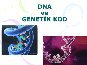 DNA ve GENETİK KOD